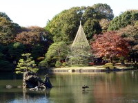 travel,japan,tokyo.tuorism,recommendation